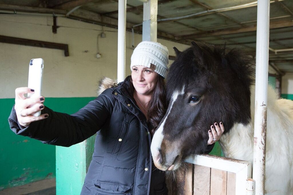 icelandic-horse-selfie-1024x682